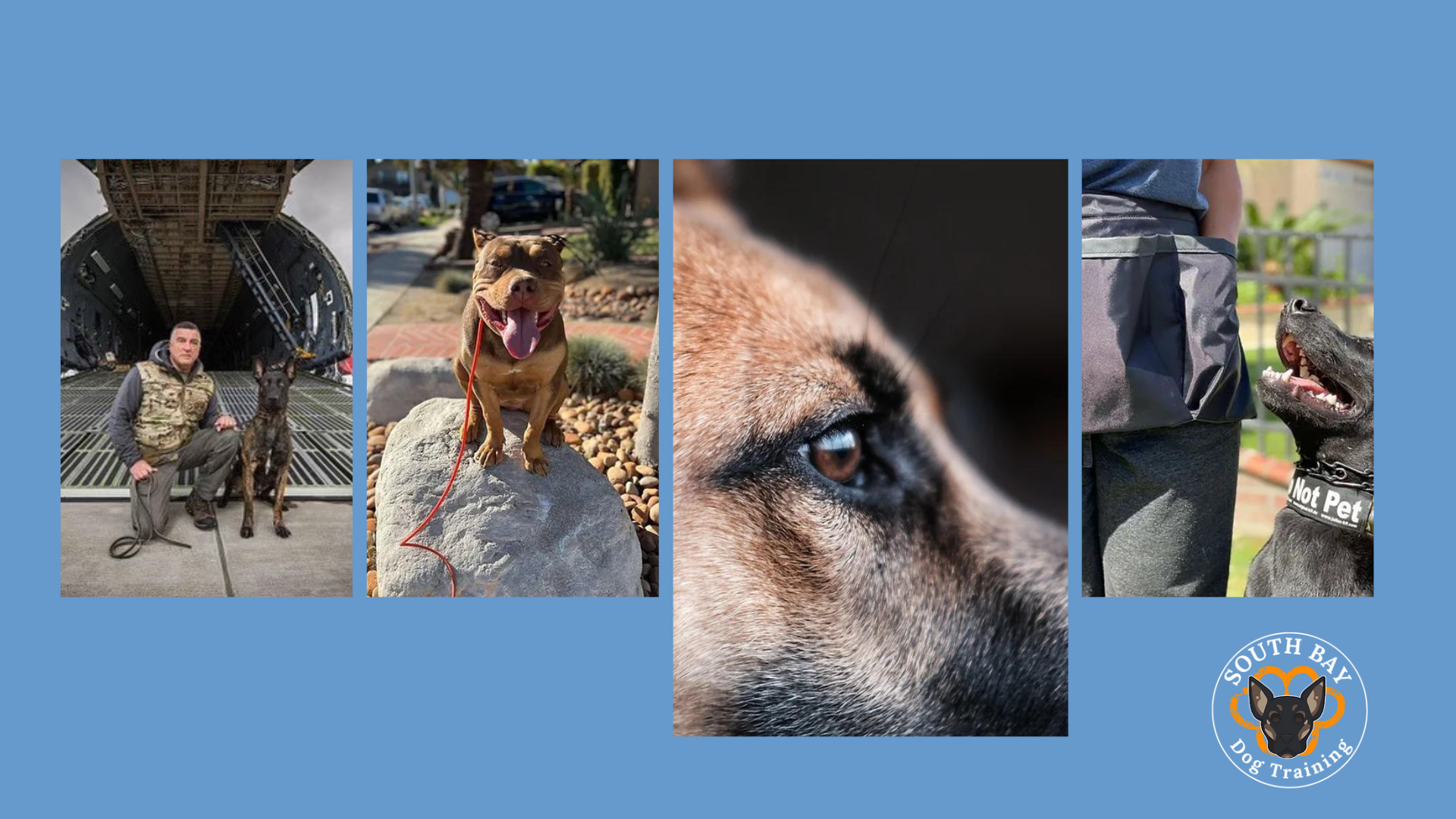 Saturday 1:00 pm-1:10 pm<br>PERSONAL PROTECTION & OBEDIENCE DEMONSTRATION